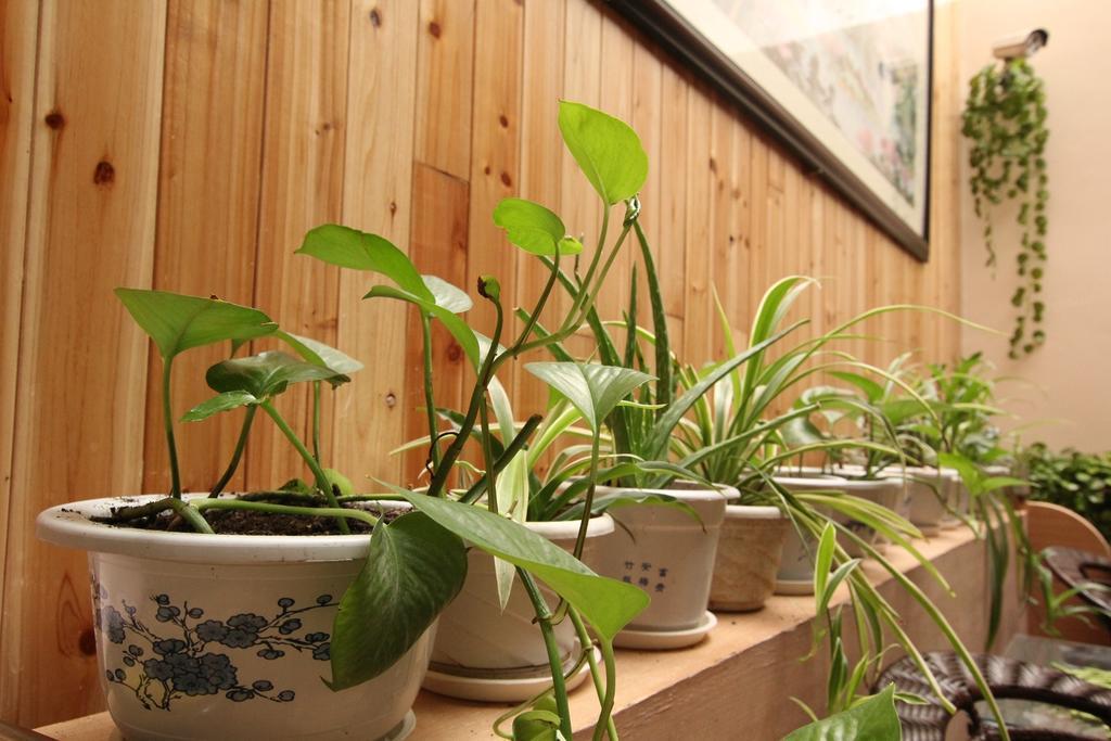 Buddy'S Hostel Quế Lâm Ngoại thất bức ảnh